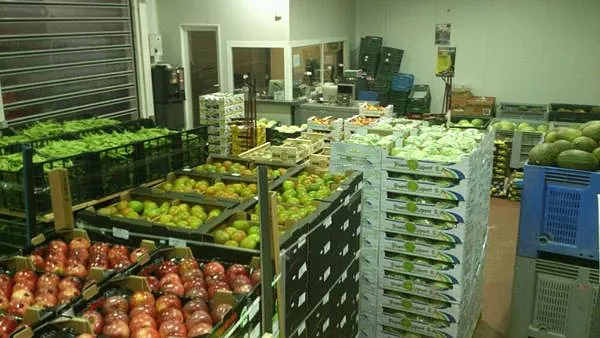 Frutas Ripo mayorista de verduras
