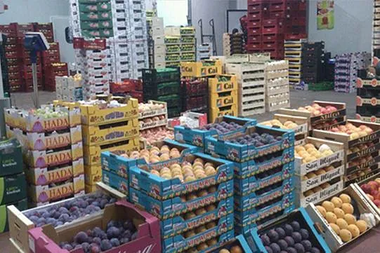 Frutas Ripo local mayorista
