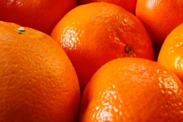 Frutas Ripo Naranjas