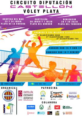 Frutas Ripo cartel campeonato volley