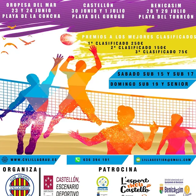 Frutas Ripo cartel campeonato volley