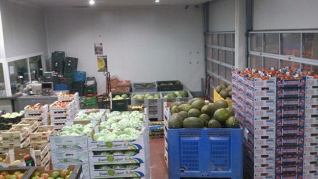 Frutas Ripo Frutas mayorista