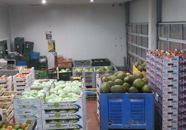 Frutas Ripo Frutas mayorista