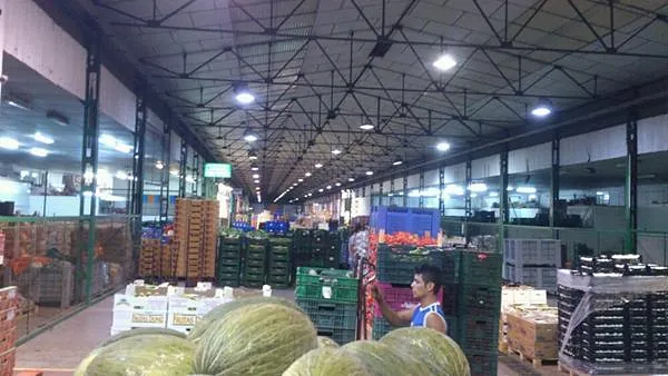 Frutas Ripo Central de mayorista