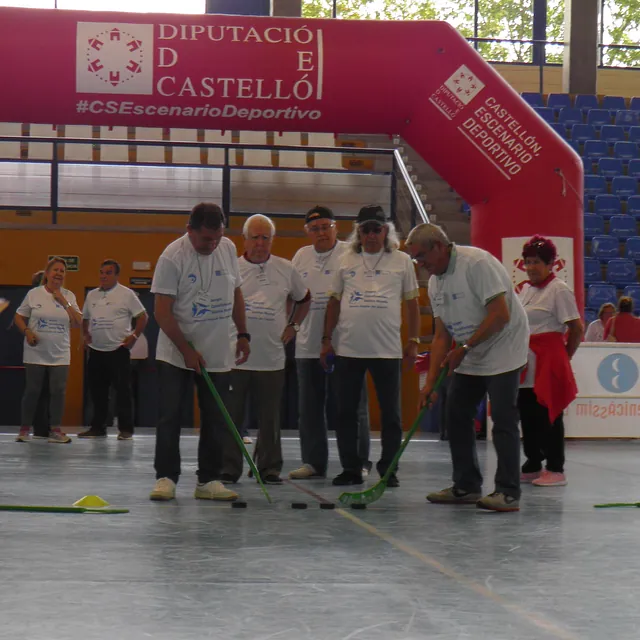 Frutas Ripo hockey