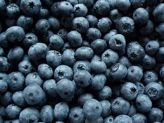 Frutas Ripo Arnadanos